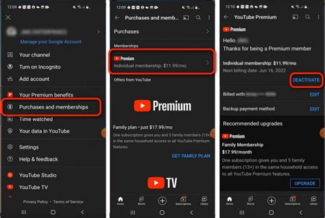 How to Cancel YouTube Music Premium: A Detailed Guide with Multiple Perspectives