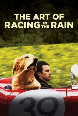 is the art of racing in the rain a true story Is it possible that the novel's narrative style and emotional depth might have been inspired by a real-life experience?